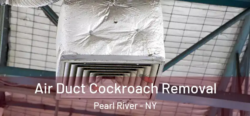  Air Duct Cockroach Removal Pearl River - NY