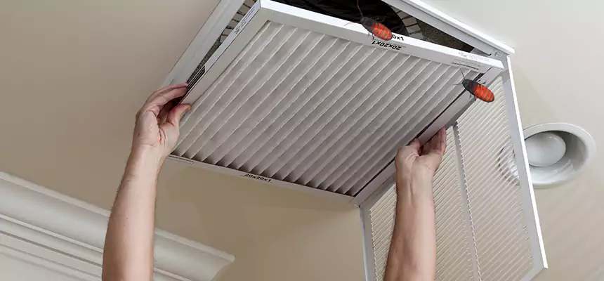 Preventive Cockroach-Proofing for Ducts in Pearl River