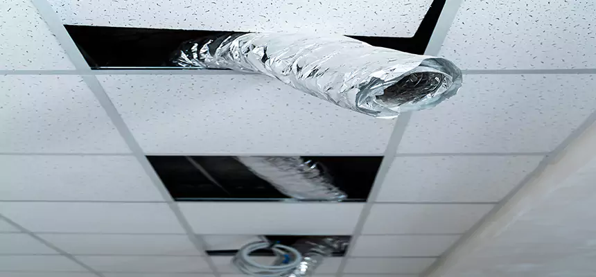 Our Air Duct Pet Hair Removal Services in Pearl River, NY