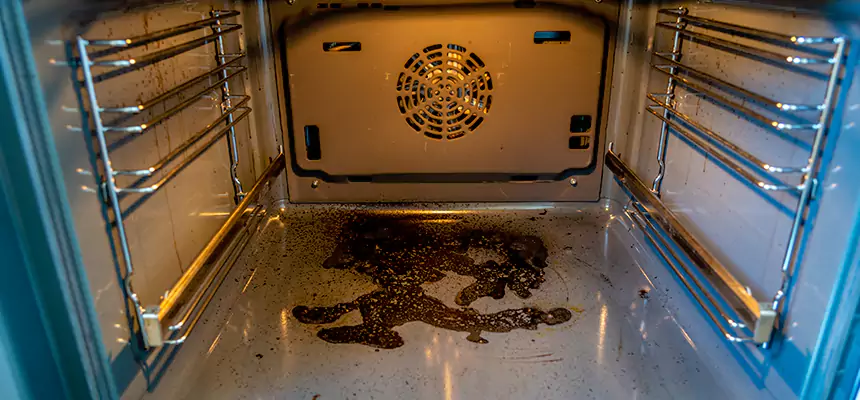 Our Dryer Vent Mold Cleaning Services in Pearl River, NY