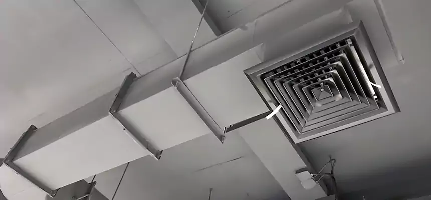 Our Pest Removal From Ducts Services in Pearl River, NY