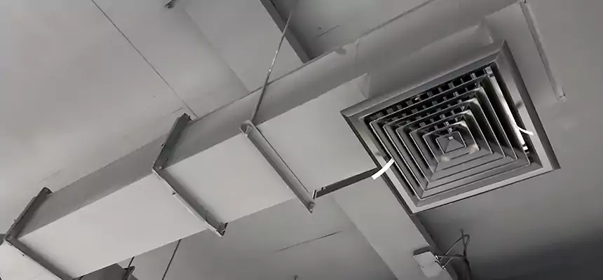 Our Rodent Droppings In Vents Services in Pearl River, NY