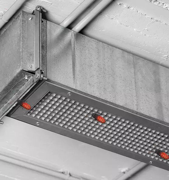 Affordable Insect Removal from Air Ducts in Pearl River, NY