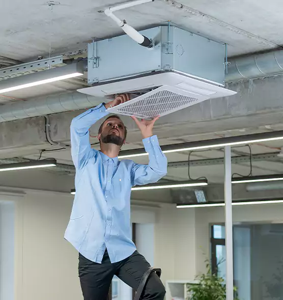 Advanced Rodent Droppings In Vents in Pearl River, NY